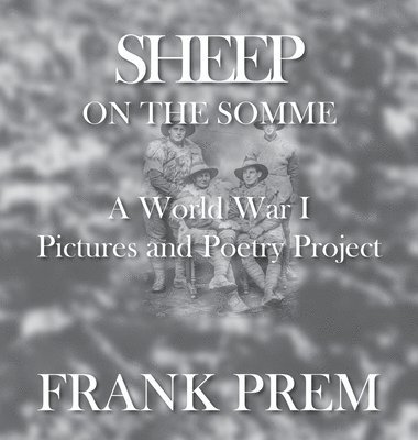 Sheep On The Somme