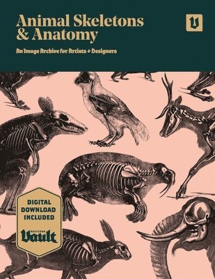 James Kale - Animal Skeletons and Anatomy, Häftad. Tillgänglighet: Lägg i varukorg