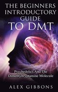 Beginners Introductory Guide To DMT - Psychedelics And The Dimethyltryptamine Molecule