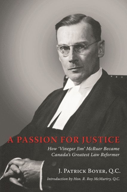 J. Patrick Boyer - Passion for Justice, E-bok