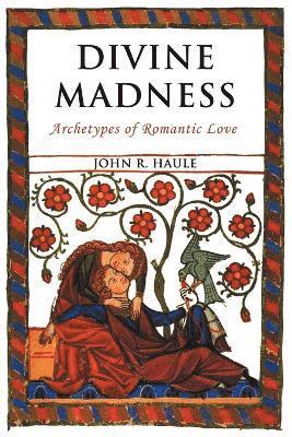 John R Haule - Divine Madness, Häftad
