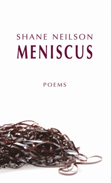 Shane Neilson - Meniscus, E-bok