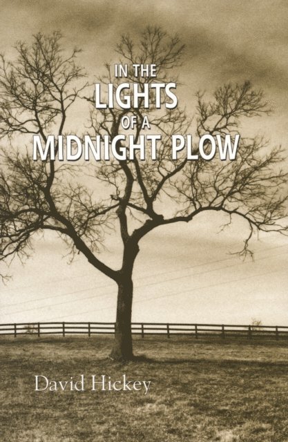 David Hickey - In the Lights of a Midnight Plow, E-bok