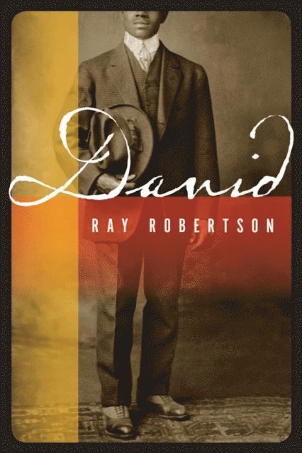 Ray Robertson - David, E-bok