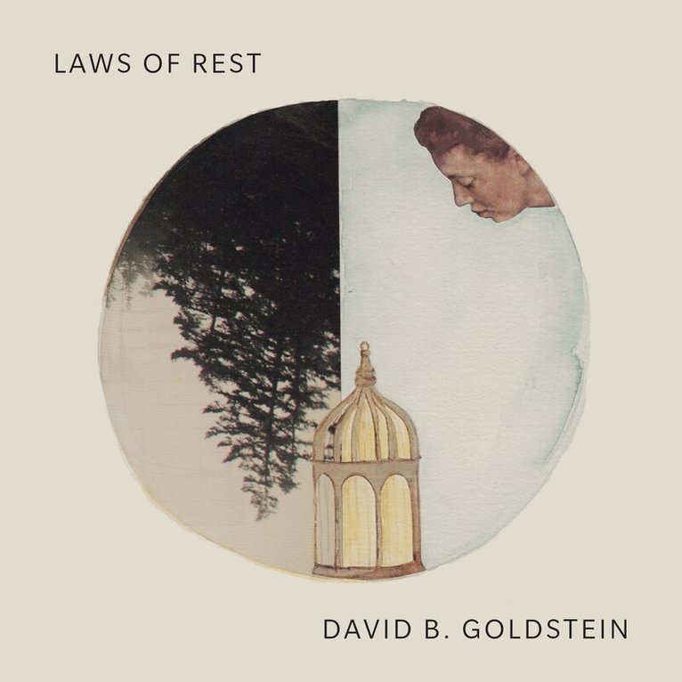 David B. Goldstein - Laws of Rest, Häftad