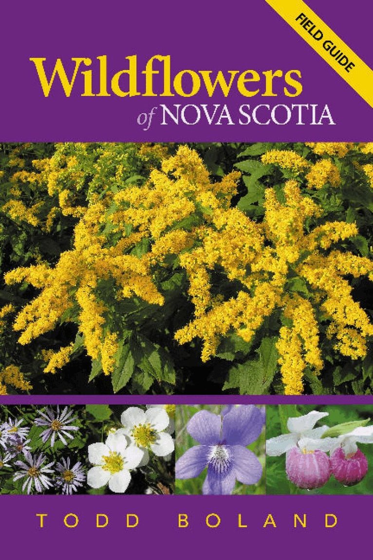 Todd Boland - Wildflowers of Nova Scotia, Häftad