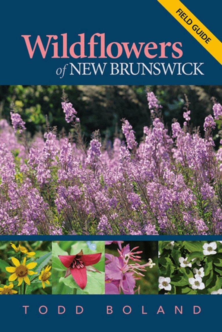 Todd Boland - Wildflowers of New Brunswick, Häftad