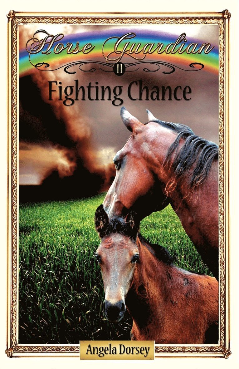 Angela Dorsey - Fighting Chance, Häftad. Tillgänglighet: Lägg i varukorg