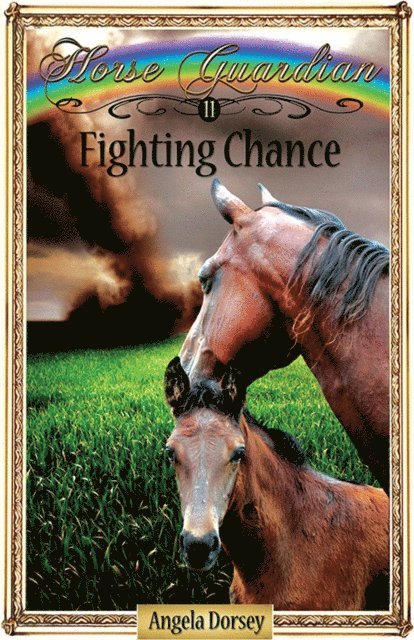 Angela Dorsey - Fighting Chance, E-bok. Tillgänglighet: Lägg i varukorg