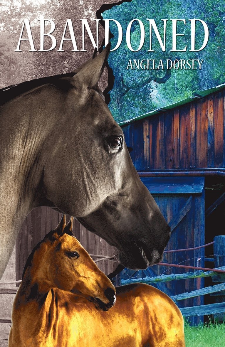 Angela Dorsey - Abandoned, Häftad. Tillgänglighet: Lägg i varukorg