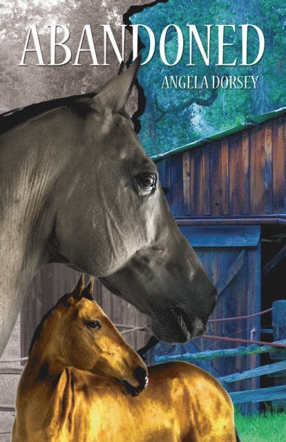Angela Dorsey - Abandoned, E-bok. Tillgänglighet: Lägg i varukorg