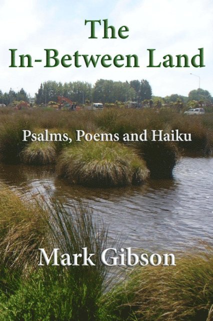 Mark Gibson - in-Between Land: Psalms, Poems and Haiku, E-bok