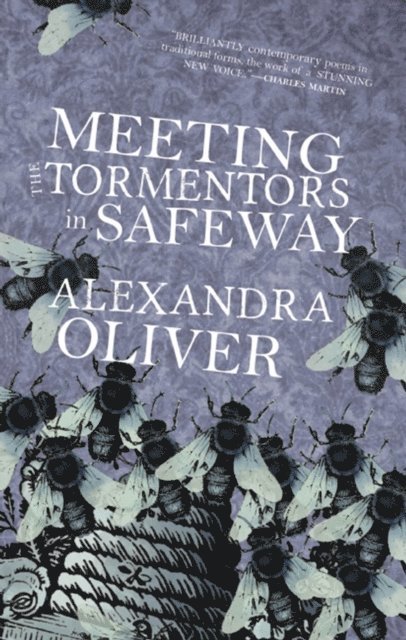 Alexandra Oliver - Meeting the Tormentors in Safeway, E-bok