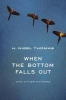 H. Nigel Thomas - When the Bottom Falls Out: And Other Stories, Häftad