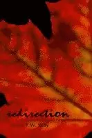 Brian T. W. Way - Redirection: The Prime Sonnets and Other Poems, Häftad. Tillgänglighet: Lägg i varukorg