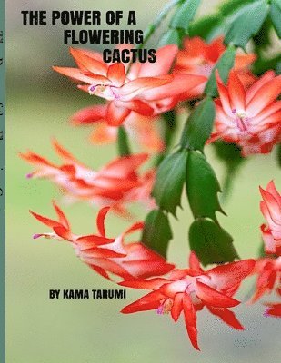 Kama Tarumi - Power of a Flowering Cactus, Häftad