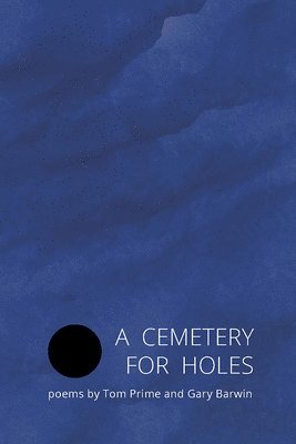 A Cemetery for Holes, Häftad