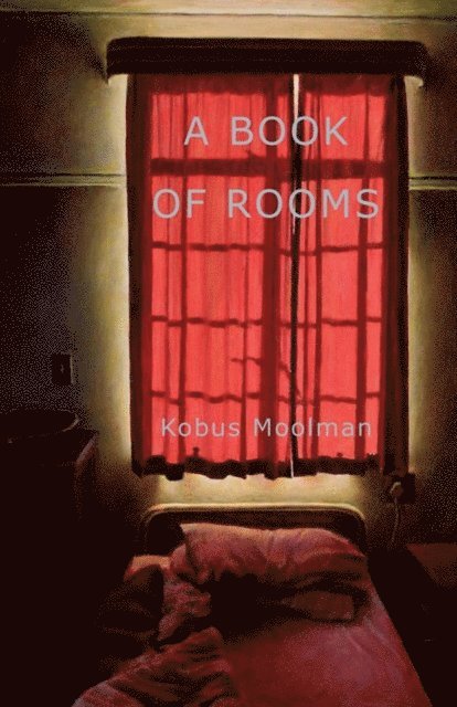 Moolman: A Book of Rooms, E-bok
