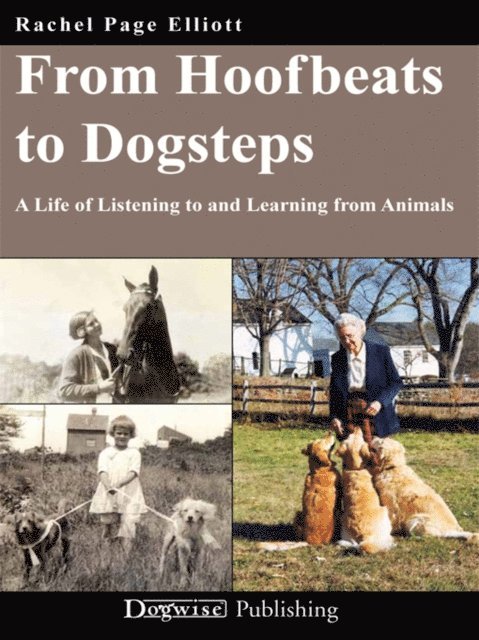 FROM HOOFBEATS TO DOGSTEPS