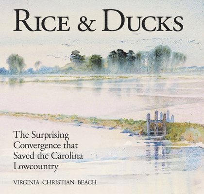 Virginia Beach - Rice & Ducks, Inbunden