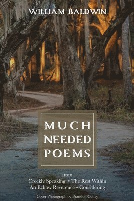 William P. Baldwin - Much Needed Poems, Häftad
