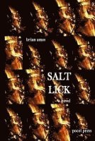 Brian Ames - Salt Lick, Häftad