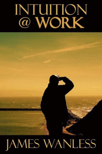 James Wanless - Intuition @ Work, E-bok