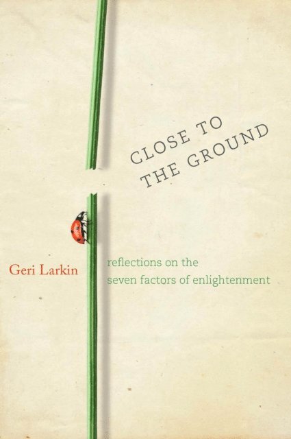 Geri Larkin - Close to the Ground, E-bok