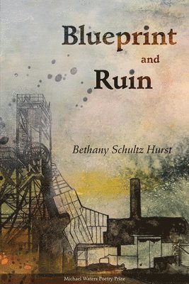 Bethany Schultz Hurst - Blueprint and Ruin, Häftad