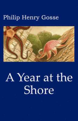 Philip Henry Gosse - Gosse's a Year at the Shore, Häftad