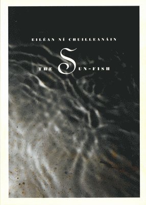 Eiléan Ní Chuilleanáin - The Sun-Fish, Häftad