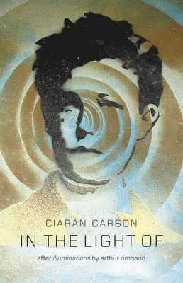 Ciaran Carson - In the Light of, Häftad