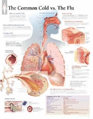 Scientific Publishing - Understanding the Common Cold Laminated Poster, Övrigt