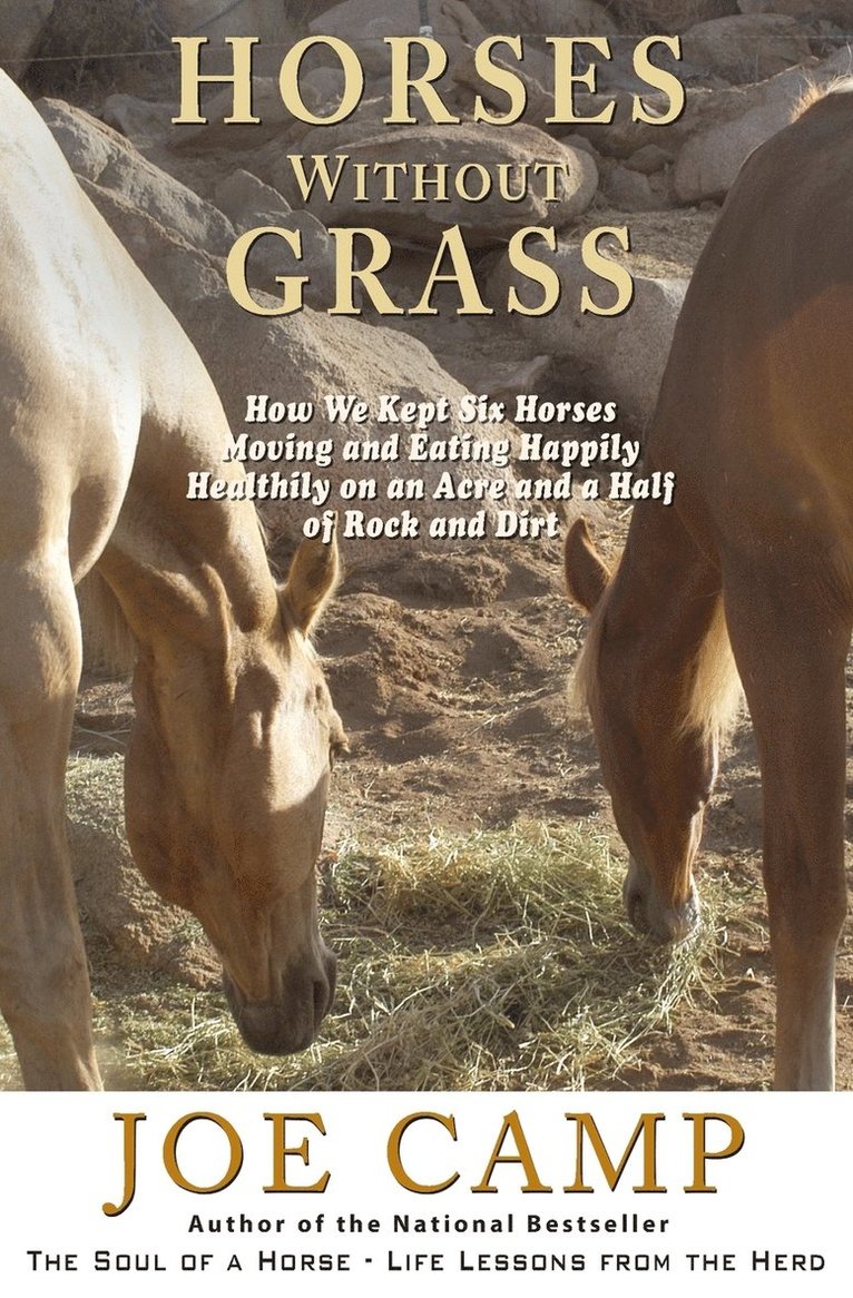 Joe Camp - Horses Without Grass, Häftad. Tillgänglighet: Lägg i varukorg