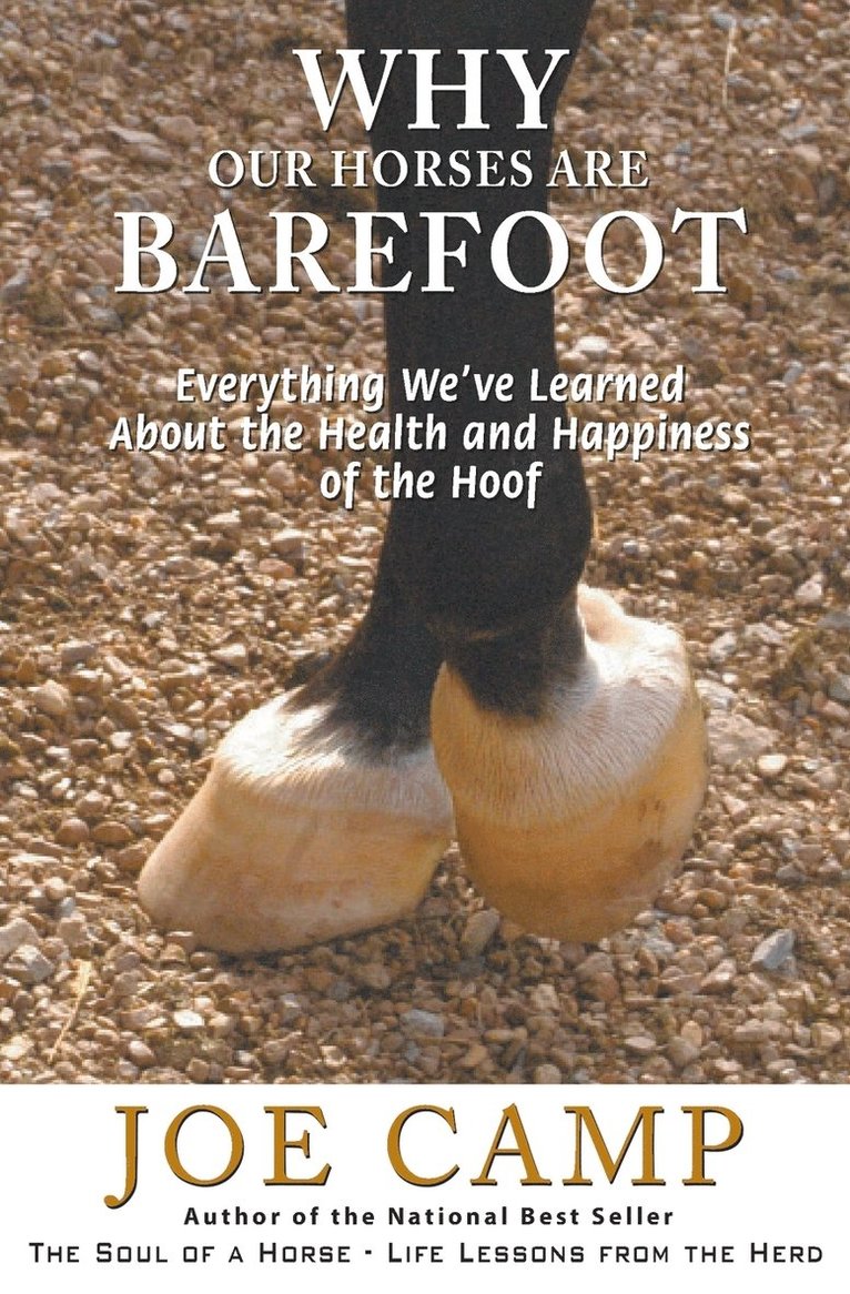 Joe Camp - Why Our Horses Are Barefoot, Häftad. Tillgänglighet: Lägg i varukorg