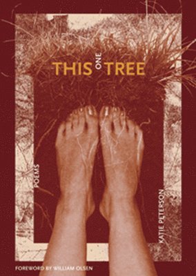 Katie Peterson - This One Tree, Häftad. Tillgänglighet: Tillfälligt slut