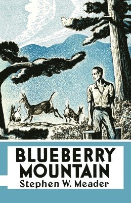 Stephen W. Meader - Blueberry Mountain, Häftad
