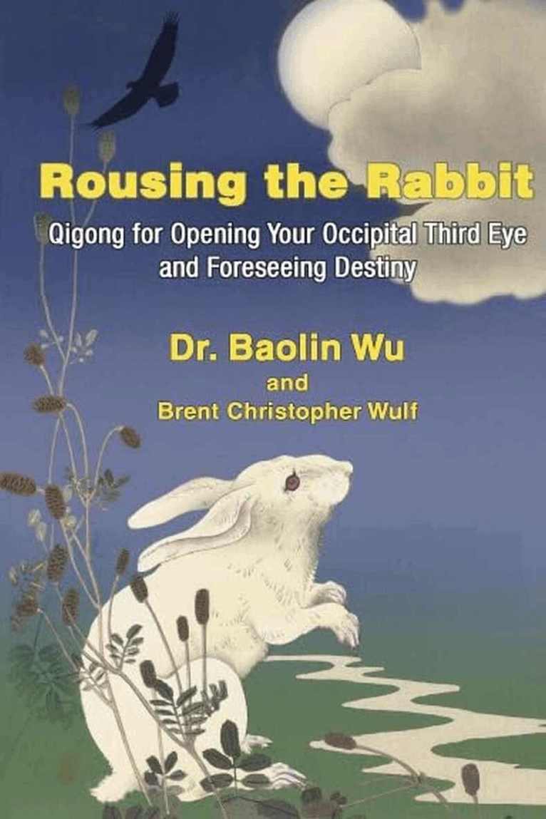 Wu Baolin, Brent Christopher Wulf - Rousing the Rabbit, Häftad. Tillgänglighet: Tillfälligt slut