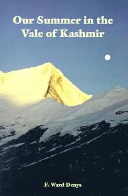 F Ward Denys - Our Summer in the Vale of Kashmir, Häftad. Tillgänglighet: Lägg i varukorg