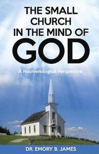 Emory B. James - The Small Church In The Mind Of God: A Noumenological Prespective, Häftad