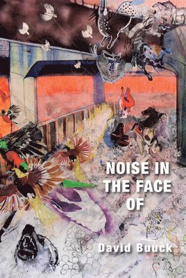 David Buuck - Noise in the Face of, Häftad