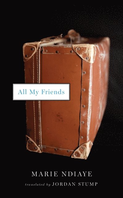 Marie NDiaye - All My Friends, E-bok