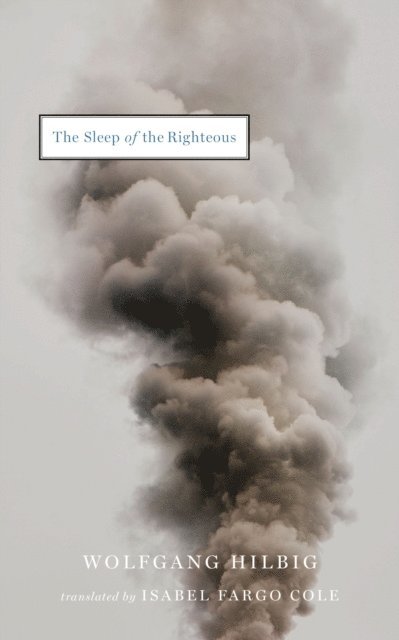 Wolfgang Hilbig - Sleep of the Righteous, E-bok