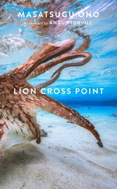 Masatsugu Ono - Lion Cross Point, E-bok