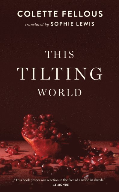 Colette Fellous - This Tilting World, E-bok