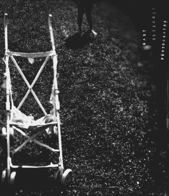 Gary Briechle: Photographs, Inbunden