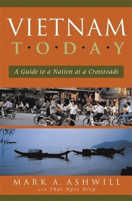 Mark A. Ashwill - Vietnam Today, Häftad