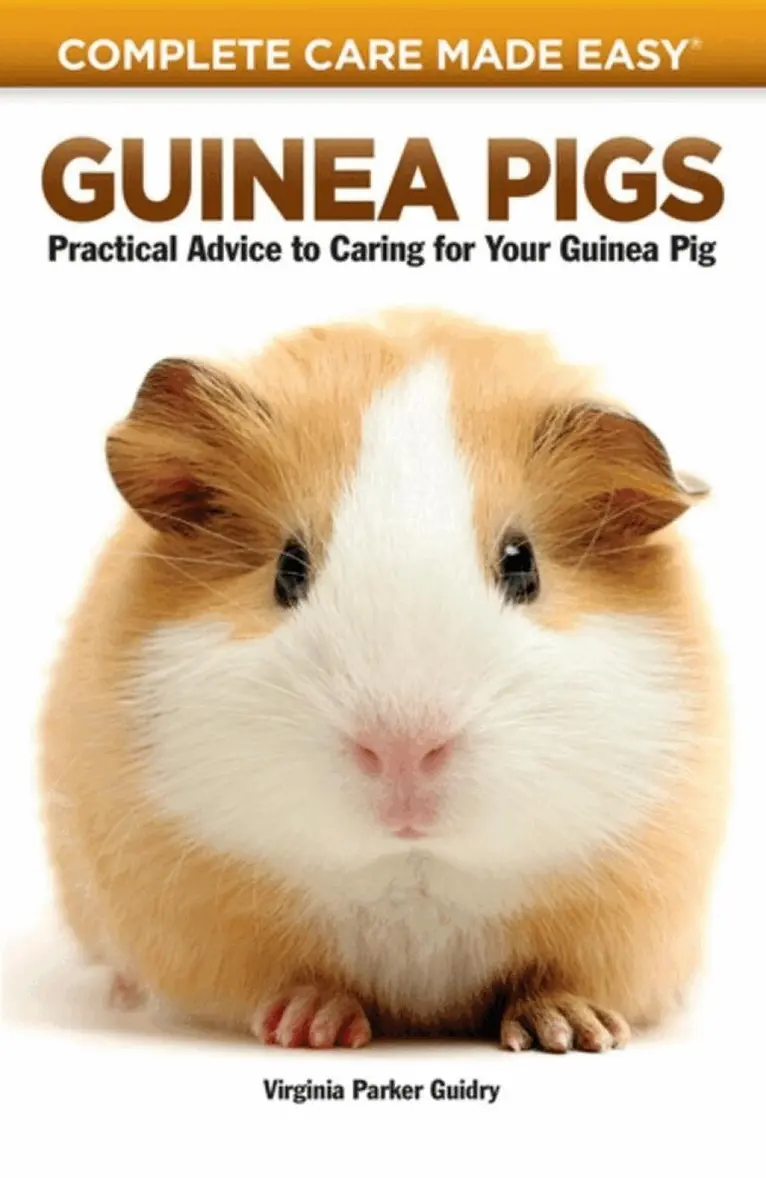 Virginia Parker Guidry - Guinea Pigs, Häftad. Tillgänglighet: Tillfälligt slut