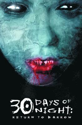Steve Niles - 30 Days Of Night: Return To Barrow, Häftad