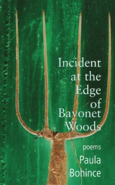 Paula Bohince - Incident at the Edge of Bayonet Woods, E-bok